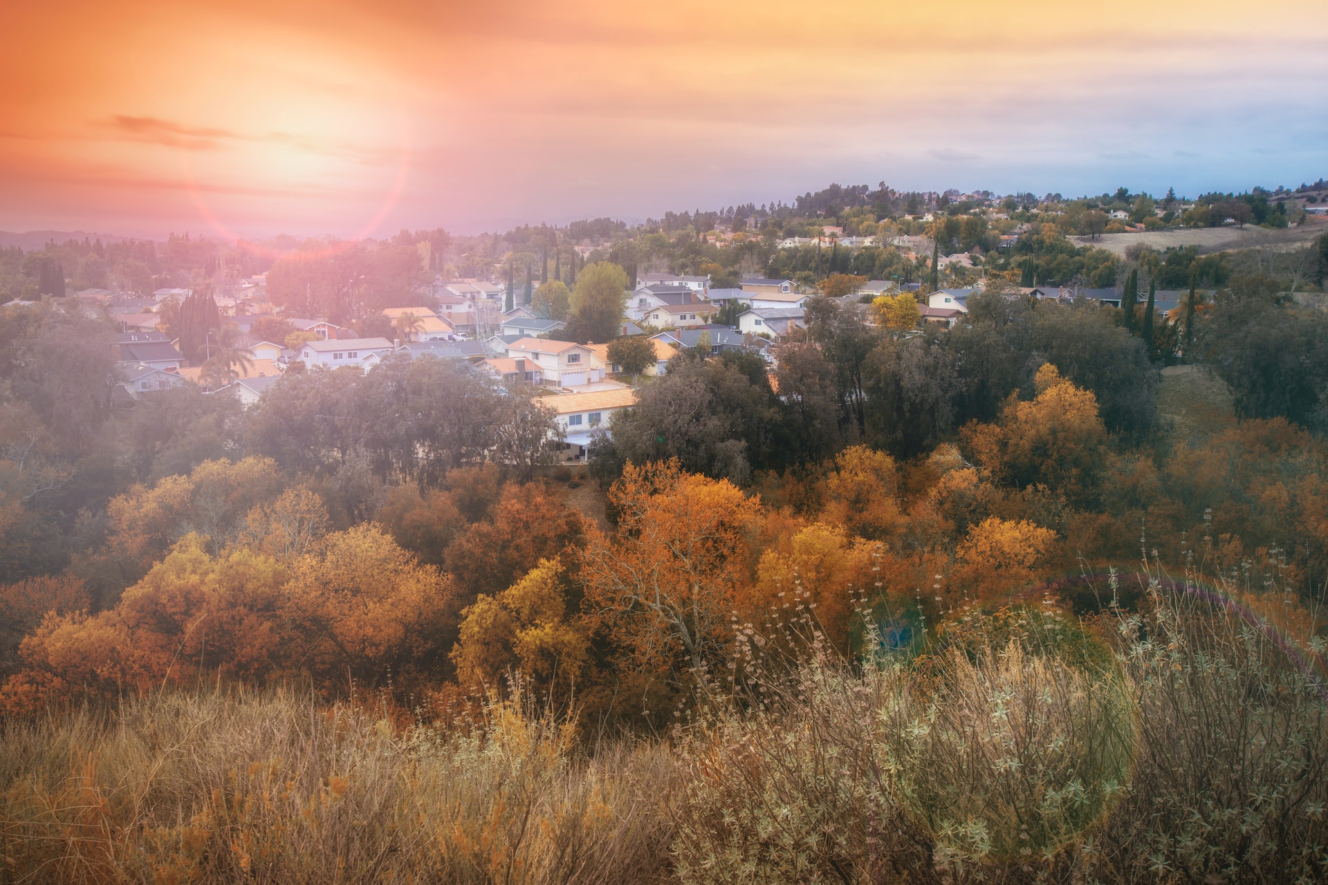 homes in a hilly landscape