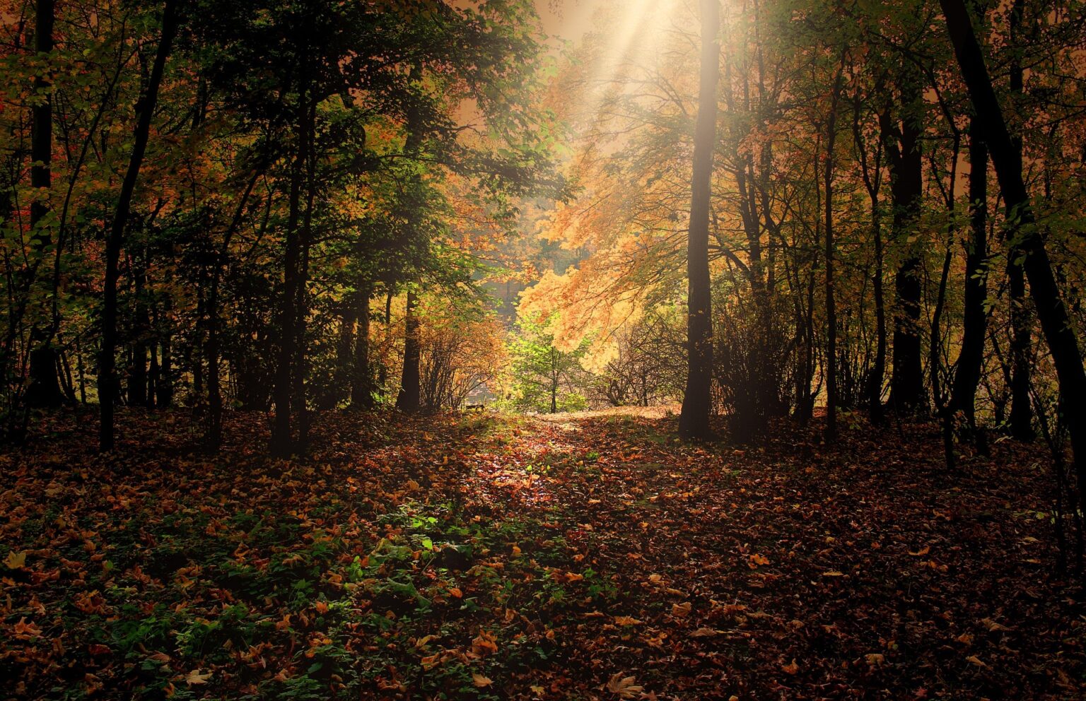 Port Austin Fall Why You Need to Visit Austin in the Fall | Renters Club