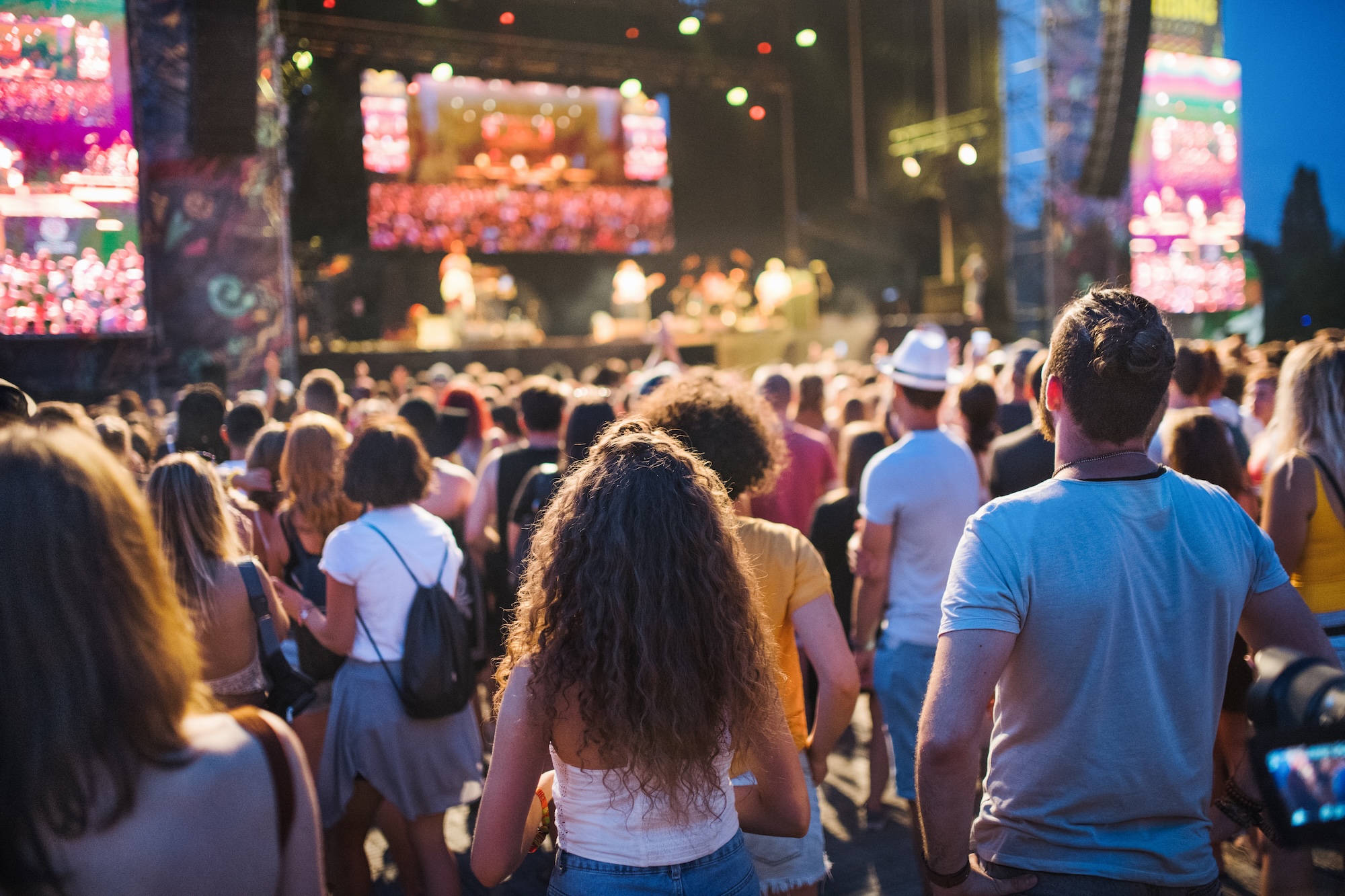 Rear view of group of young friends at music festival.